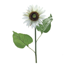 Load image into Gallery viewer, White Sunflower Floral Stem (Set of 6)