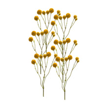Load image into Gallery viewer, Yellow Pod Twig Spray (Set of 6)