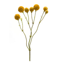 Load image into Gallery viewer, Yellow Pod Twig Spray (Set of 6)