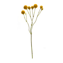 Load image into Gallery viewer, Yellow Pod Twig Spray (Set of 6)