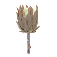 Load image into Gallery viewer, Beige Protea Stem (Set of 6)