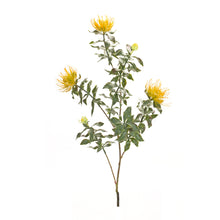 Load image into Gallery viewer, Yellow Flocked Protea Spray (Set of 6)