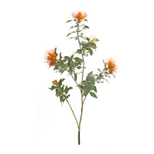 Load image into Gallery viewer, Orange Flocked Protea Spray (Set of 6)