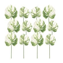 Load image into Gallery viewer, Light Varigated Philo Leaf Stem (Set of 12)