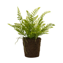 Load image into Gallery viewer, Varigated Fern Bush with Rooted Base (Set of 2)