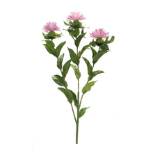 Load image into Gallery viewer, Pink Thistle Floral Spray (Set of 6)