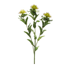 Load image into Gallery viewer, Green Thistle Floral Spray (Set of 6)