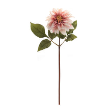 Load image into Gallery viewer, Blush Pink Dahlia Flower Stem (Set of 6)