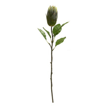 Load image into Gallery viewer, Green Protea Leaf Stem (Set of 6)