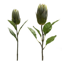 Load image into Gallery viewer, Green Protea Leaf Stem (Set of 6)