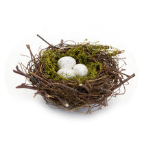 Load image into Gallery viewer, Natural Twig Bird Nest with Speckled Egg Accent (Set of 6)