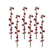 Load image into Gallery viewer, Red Berry Twig Stem (Set of 6)