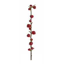 Load image into Gallery viewer, Red Berry Twig Stem (Set of 6)