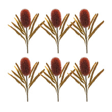 Load image into Gallery viewer, Burnt Orange Banksia Floral Stem (Set of 6)