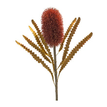 Load image into Gallery viewer, Burnt Orange Banksia Floral Stem (Set of 6)