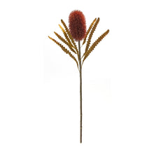 Load image into Gallery viewer, Burnt Orange Banksia Floral Stem (Set of 6)
