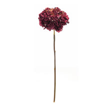 Load image into Gallery viewer, Burgandy Red Hydrangea Flower Stem (Set of 6)