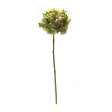 Load image into Gallery viewer, Green Hydrangea Flower Stem (Set of 6)