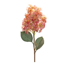Load image into Gallery viewer, Coral Pink Cone Hydrangea Flower Stem (Set of 6)