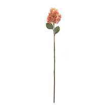 Load image into Gallery viewer, Coral Pink Cone Hydrangea Flower Stem (Set of 6)