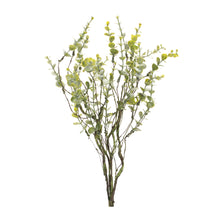Load image into Gallery viewer, Boxwood Twig Foliage Spray (Set of 6)