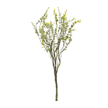 Load image into Gallery viewer, Boxwood Twig Foliage Spray (Set of 6)