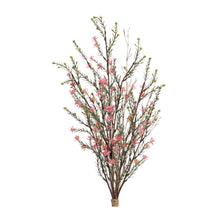 Load image into Gallery viewer, Leptospermum Flower Bundle (Set of 6)