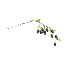 Load image into Gallery viewer, Blackberry Twig Vine (Set of 6)