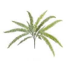 Load image into Gallery viewer, Fern Foliage Bush (Set of 6)