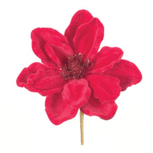 Load image into Gallery viewer, Anemone Flower Stem (Set of 12)