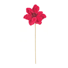 Load image into Gallery viewer, Anemone Flower Stem (Set of 12)