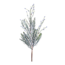 Load image into Gallery viewer, Pine Spray (Set of 6)