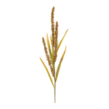 Load image into Gallery viewer, Seeded Harvest Spray (Set of 12)