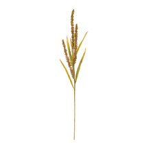Load image into Gallery viewer, Seeded Harvest Spray (Set of 12)