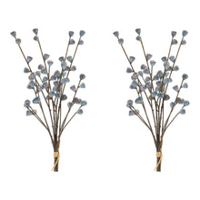 Load image into Gallery viewer, Winter Berry Pod Bundle (Set of 2)