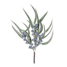 Load image into Gallery viewer, Winter Berry Pod Pick (Set of 2)