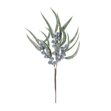 Load image into Gallery viewer, Winter Berry Pod Pick (Set of 2)