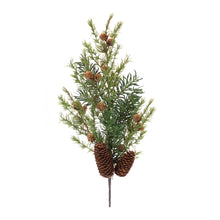 Load image into Gallery viewer, Pine Spray (Set of 6)
