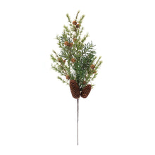 Load image into Gallery viewer, Pine Spray (Set of 6)