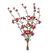 Load image into Gallery viewer, Winter Berry Twig Bundle (Set of 6)