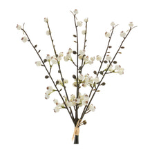 Load image into Gallery viewer, Winter Berry Twig Bundle (Set of 6)