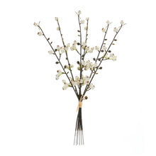 Load image into Gallery viewer, Winter Berry Twig Bundle (Set of 6)