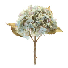 Load image into Gallery viewer, Hydrangea Stem (Set of 6)
