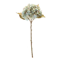Load image into Gallery viewer, Hydrangea Stem (Set of 6)