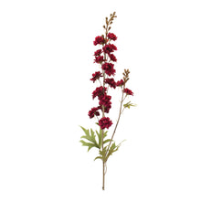 Load image into Gallery viewer, Delphinium (Set of 12)