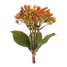 Load image into Gallery viewer, Harvest Berry Bundle (Set of 12)