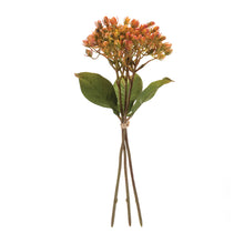 Load image into Gallery viewer, Harvest Berry Bundle (Set of 12)