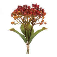 Load image into Gallery viewer, Harvest Berry Bundle (Set of 12)