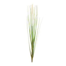 Load image into Gallery viewer, Foxtail Bush (Set of 12)