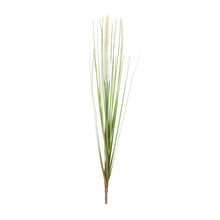 Load image into Gallery viewer, Foxtail Bush (Set of 12)